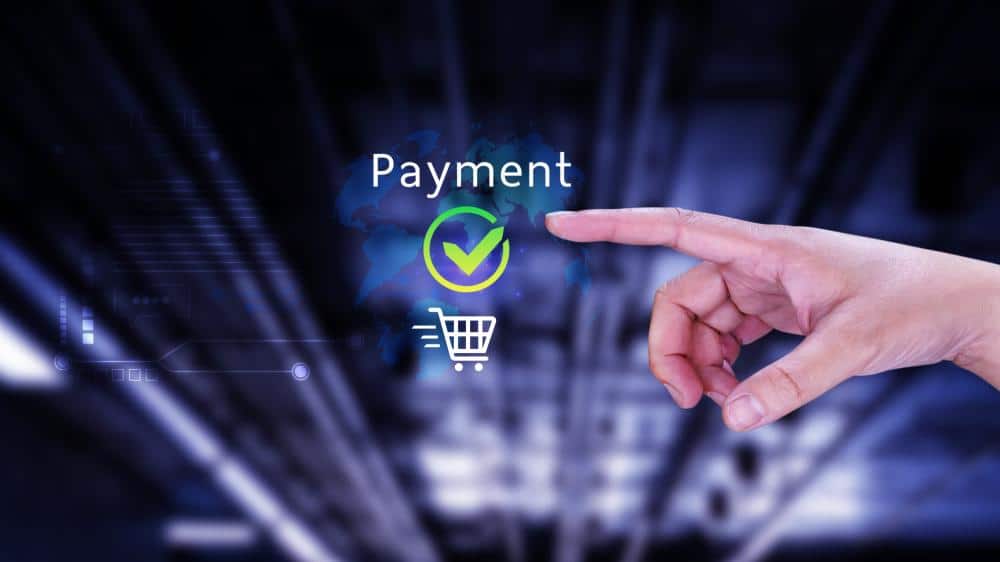 What Are the Essential Elements of Payment Processing?